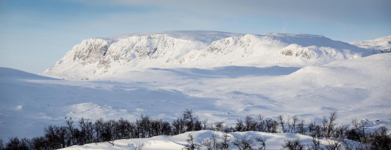 Kikut Alpin Lodge Ski In - Ski Out ヤイロ エクステリア 写真